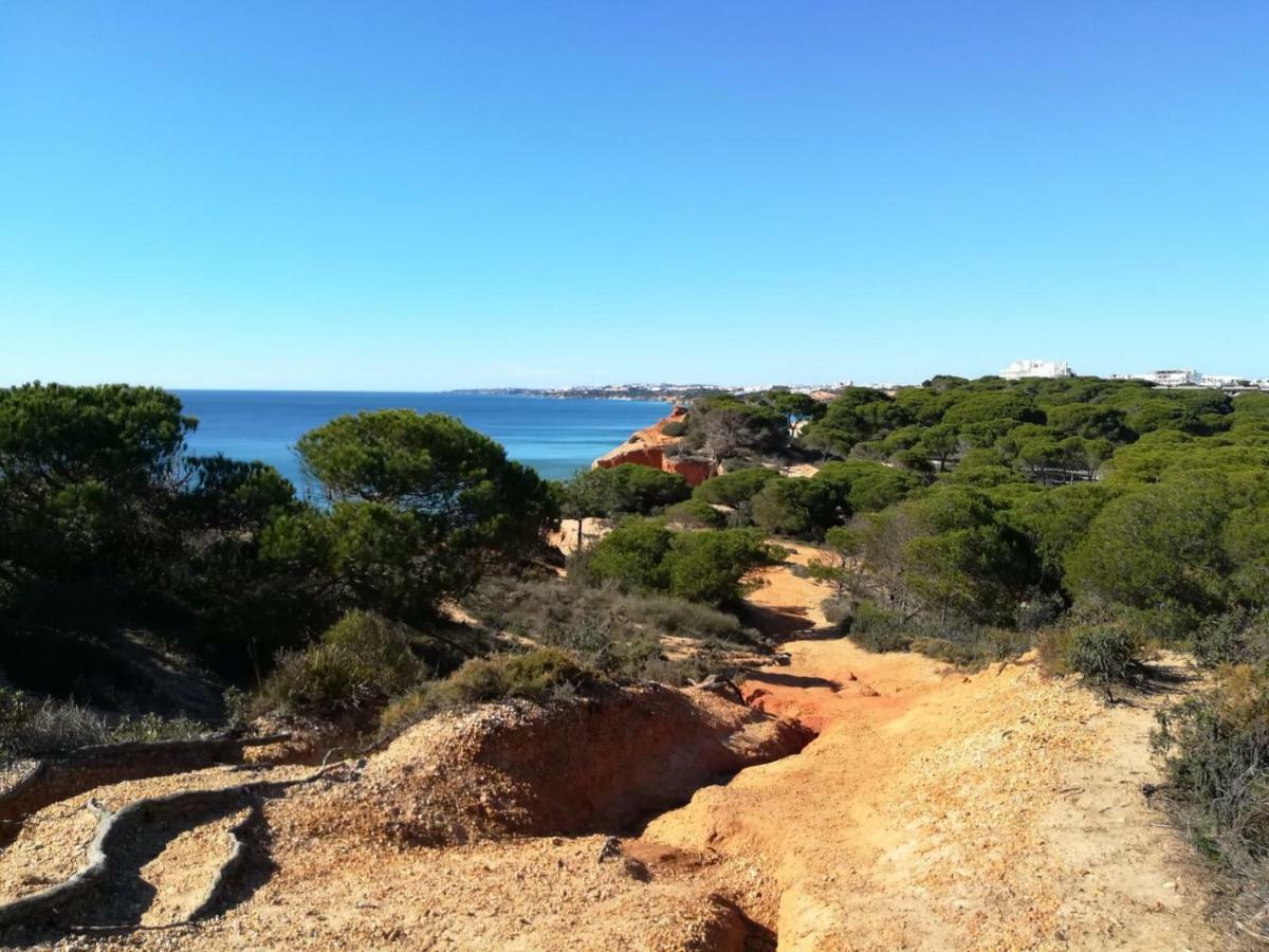 אלבופיירה Algarve Friendly Apartment מראה חיצוני תמונה